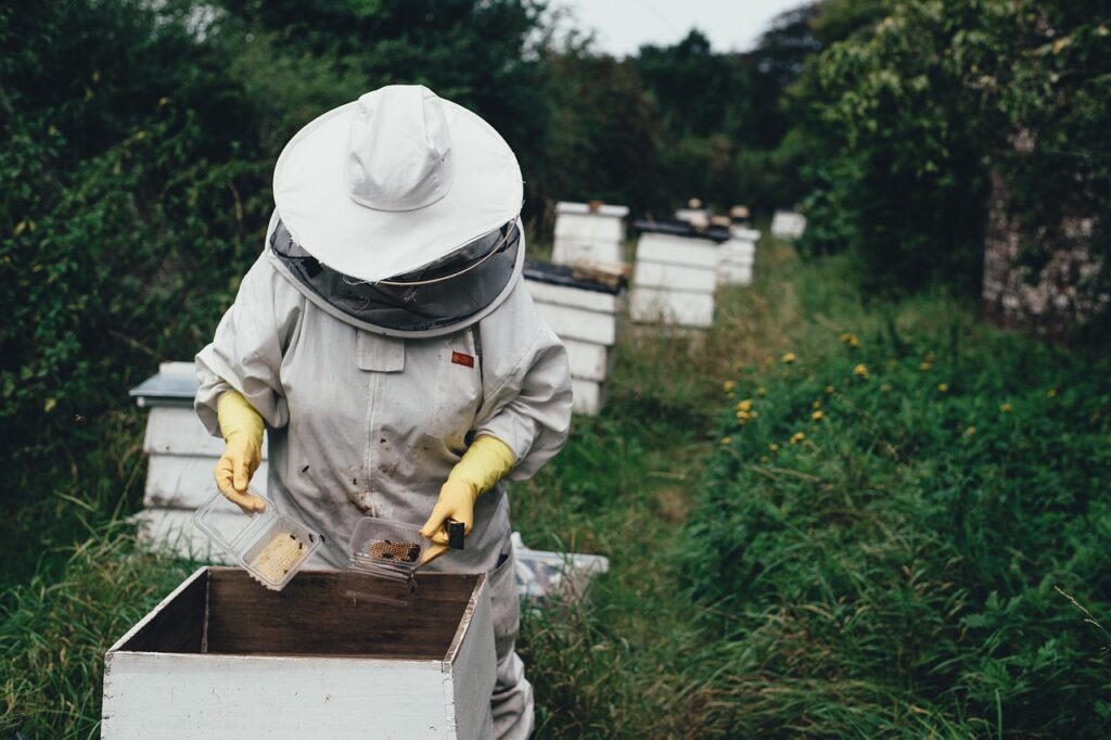 A beekeper near a beehive