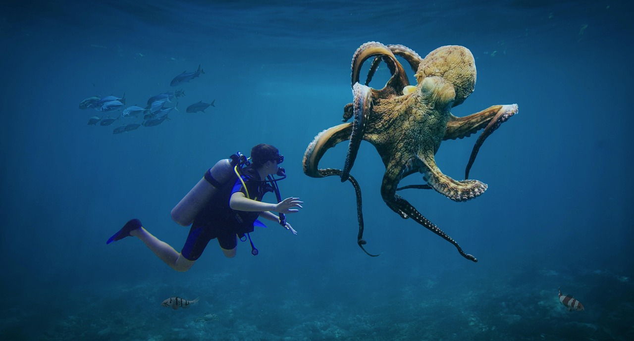 An octopus swimming near a diver